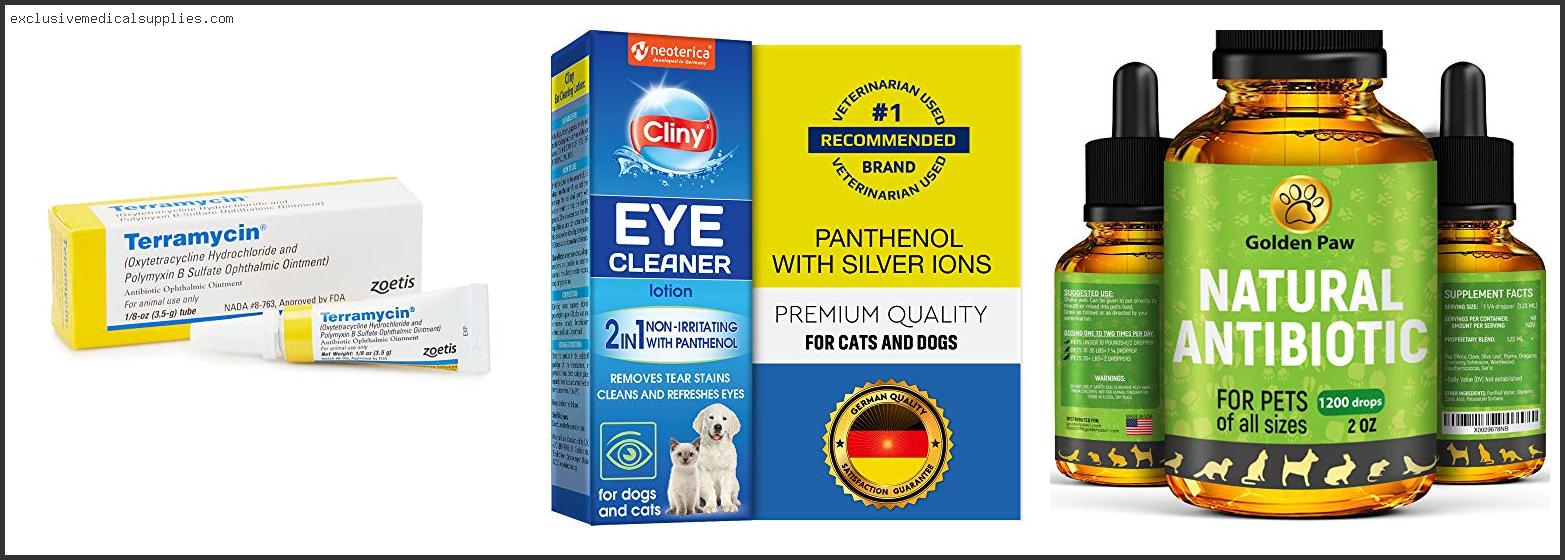 Best Antibiotic For Cat Eye Infection