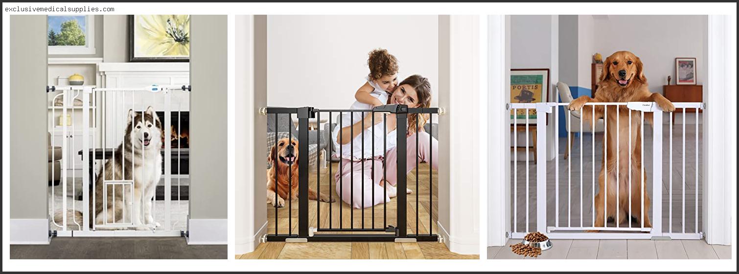 Best Baby Gate For Stairs With Cat Door