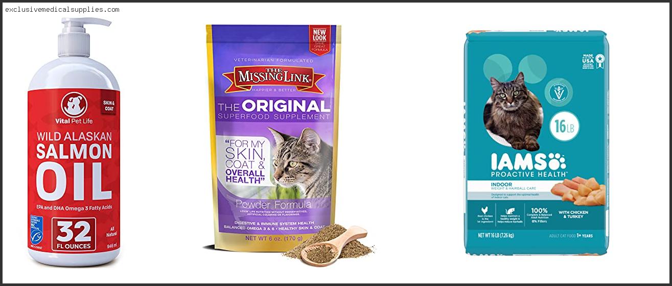 Best Cat Food For Healthy Skin And Coat