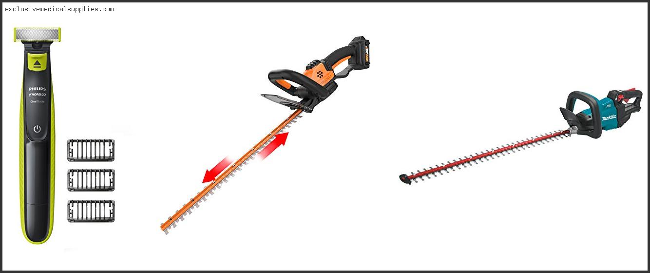 Best Cordless Hedge Trimmer For The Money