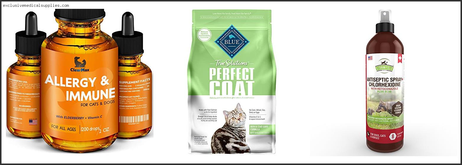 Best Cat Food For Itchy Skin