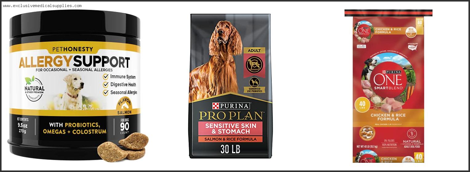 Best Dog Food For Labs With Skin Allergies