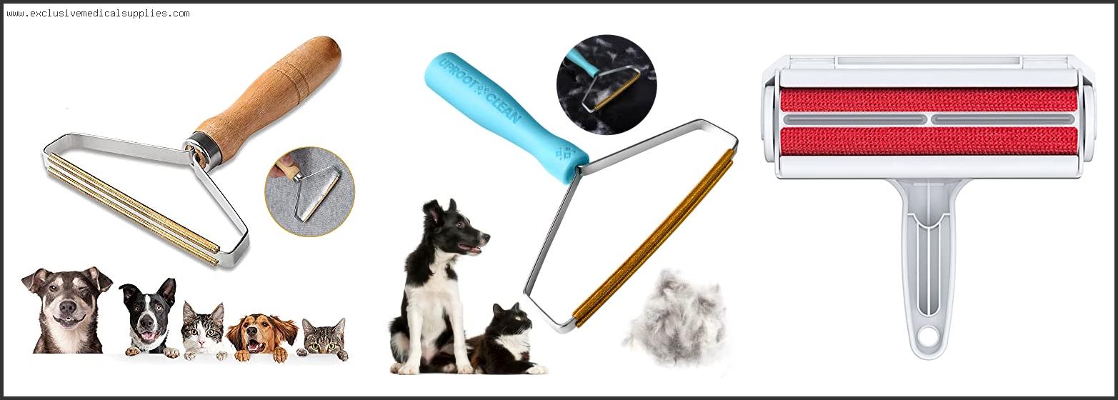 Best Rugs For Dog Hair