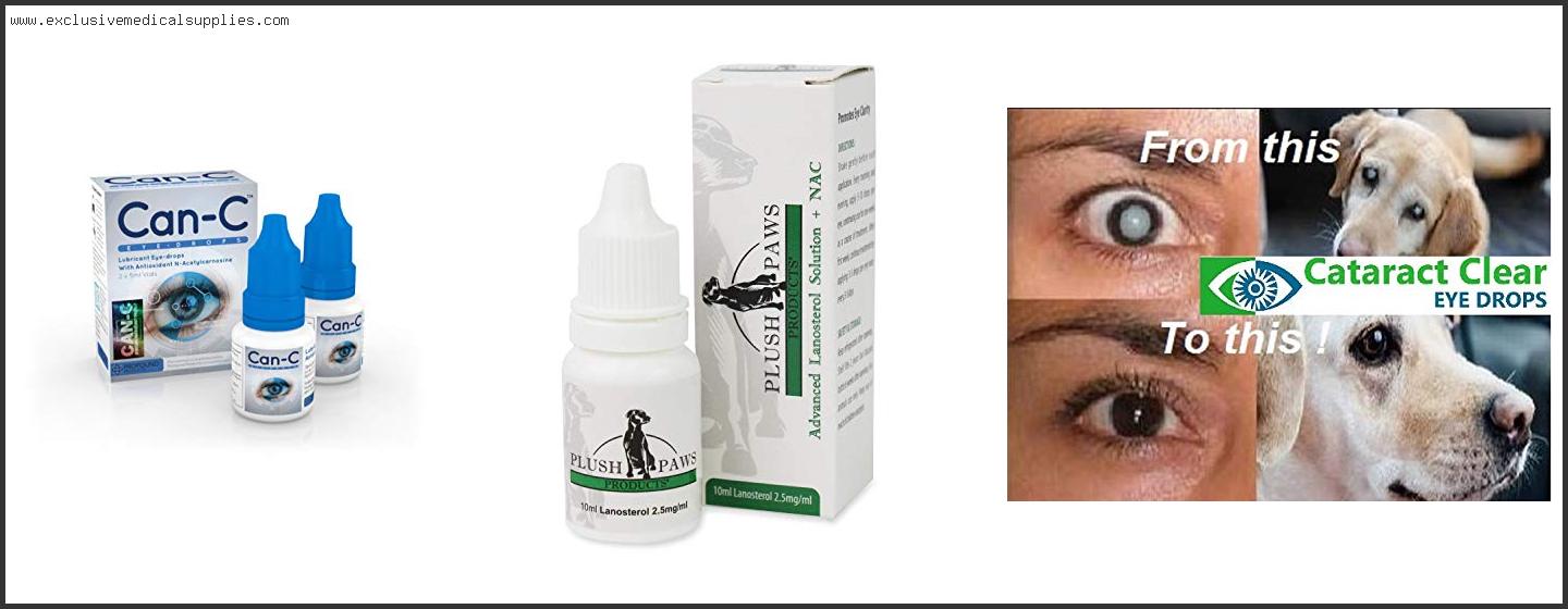 Best Dog Eye Drops For Cataracts