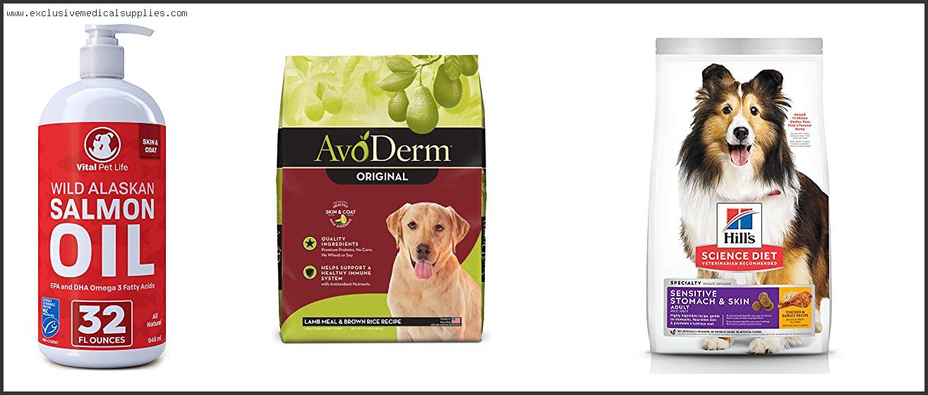Best Dog Food For Skin And Coat Problems