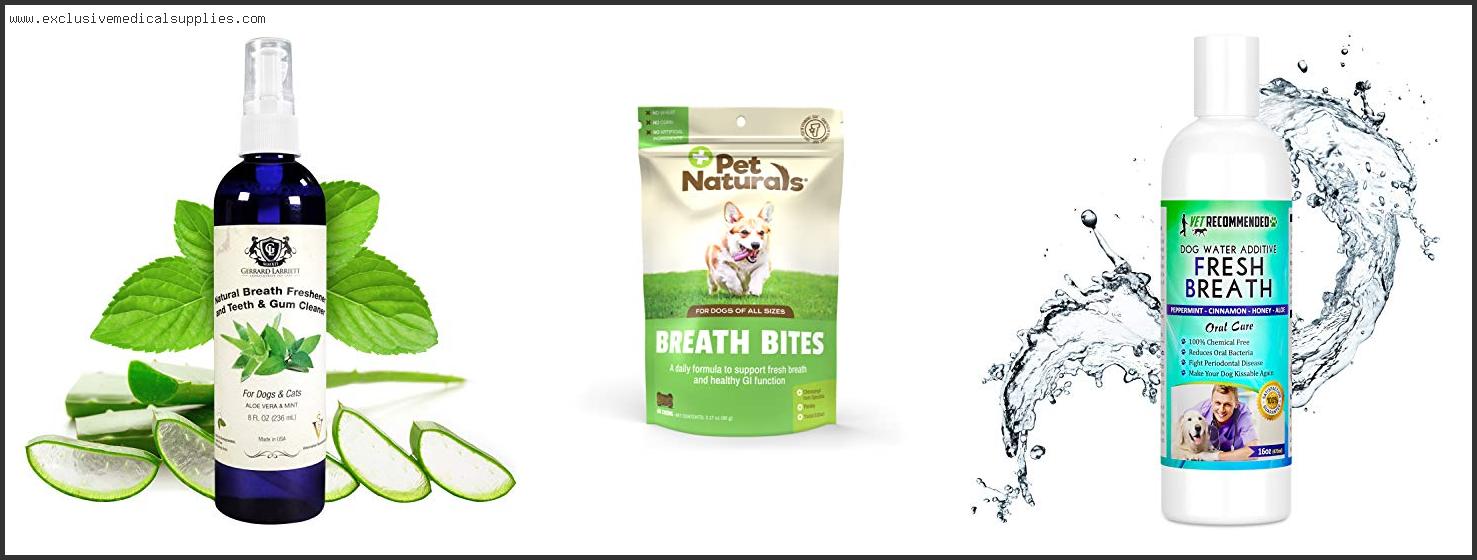 Best Natural Dog Breath Freshener