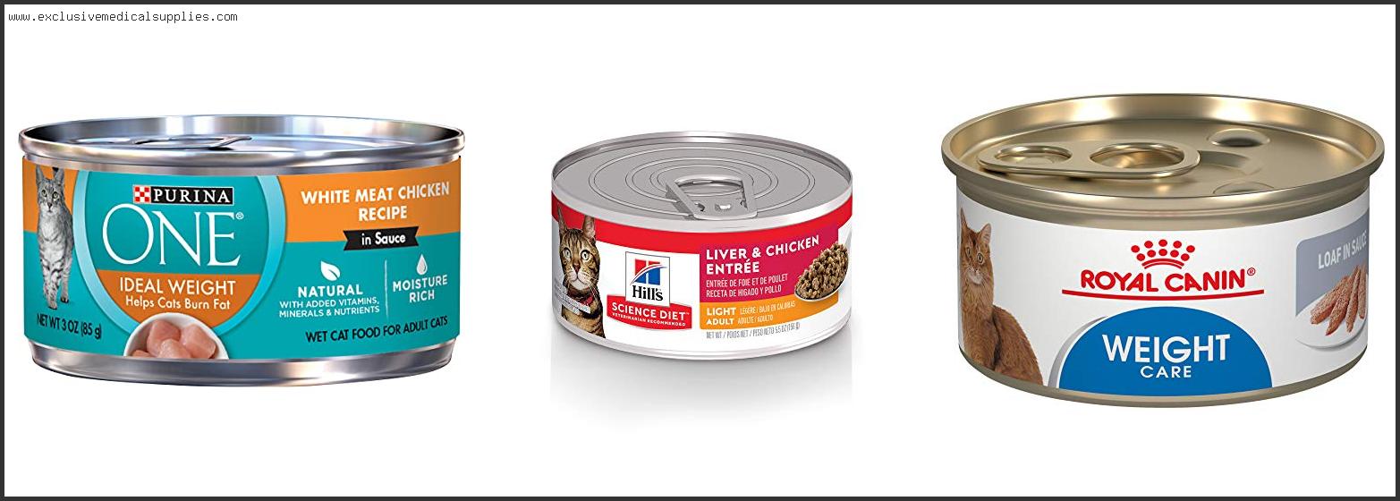 Best Weight Loss Wet Food For Cats