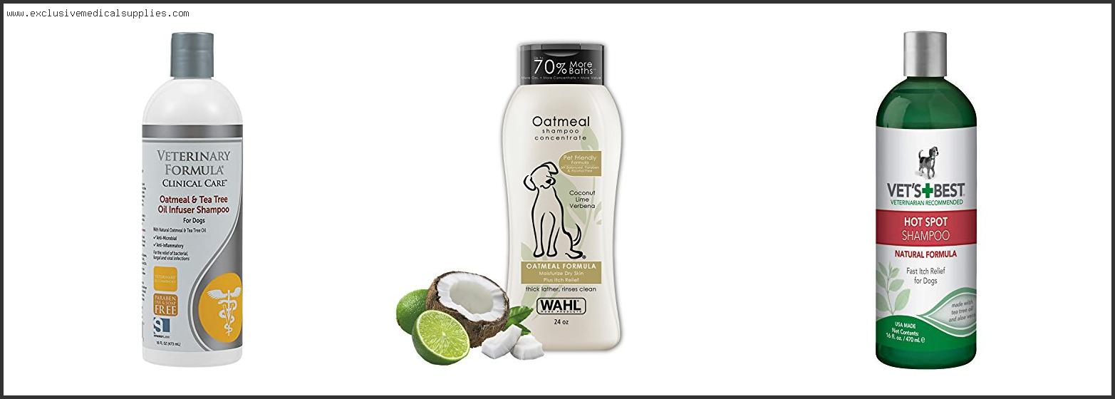 Best Shampoo For Labs With Dry Skin
