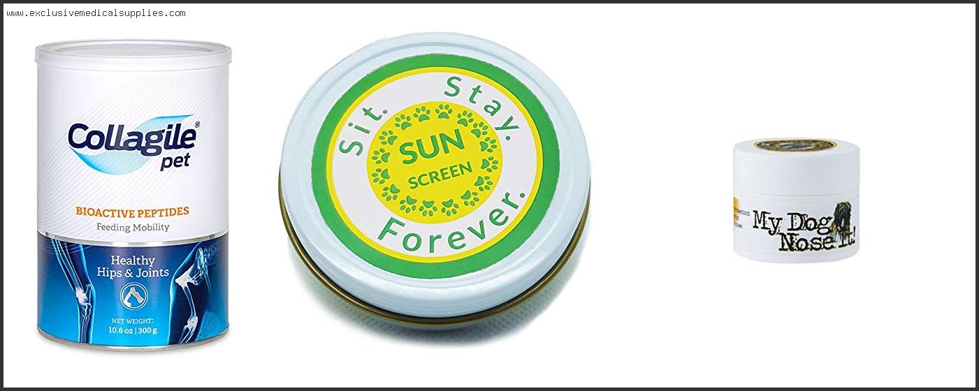Best Human Sunscreen For Dogs