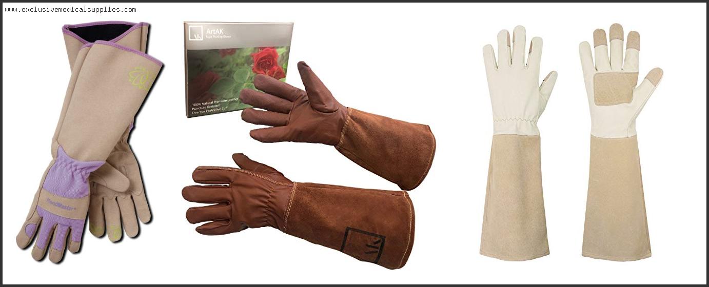 Best Gloves For Rose Pruning