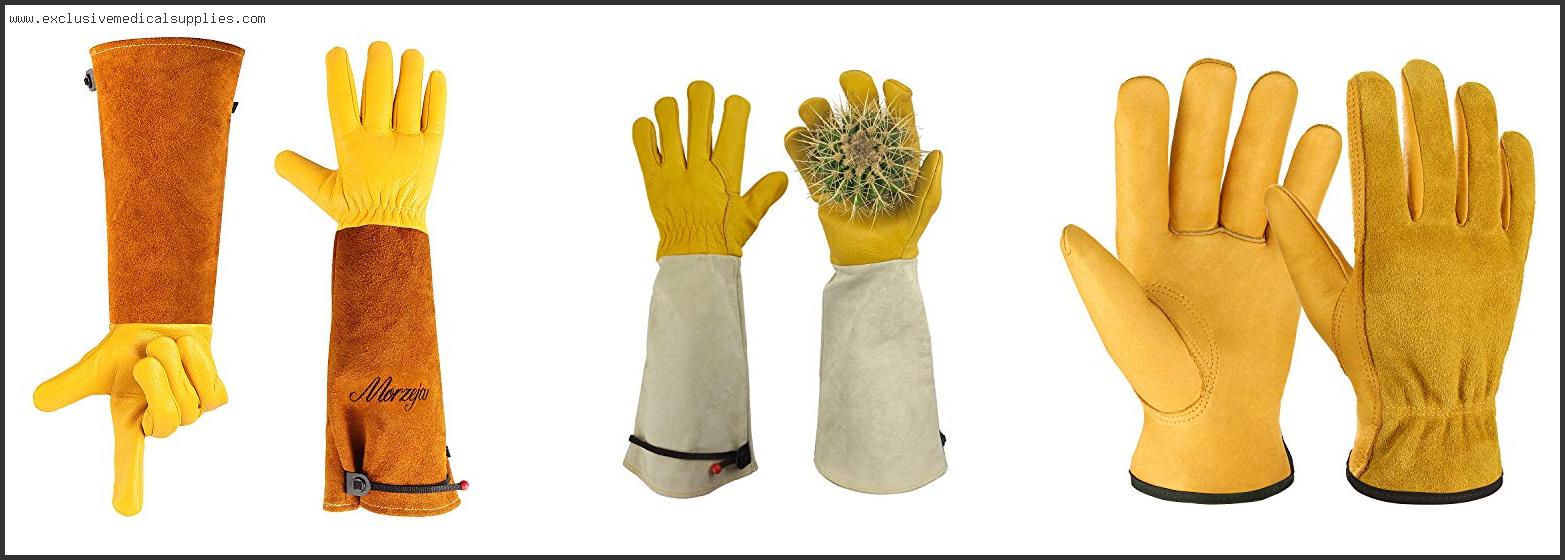 Best Work Gloves For Cactus