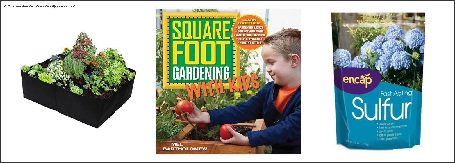 Best Soil For Square Foot Gardening