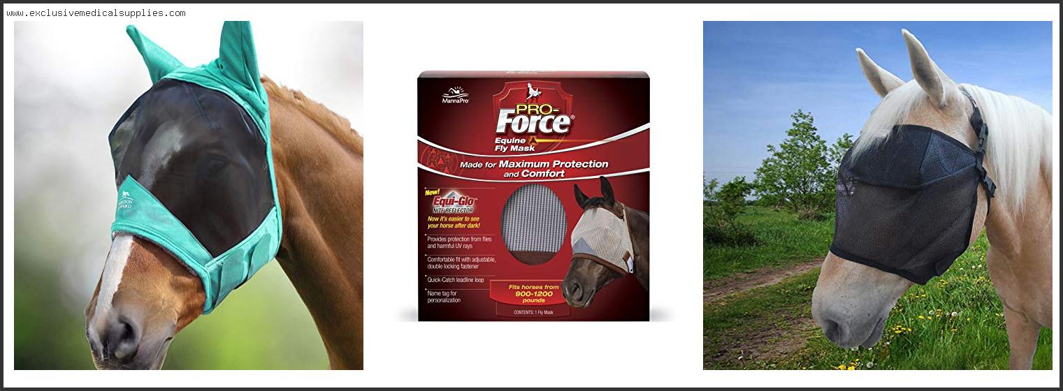 Best Fly Mask For Uv Protection