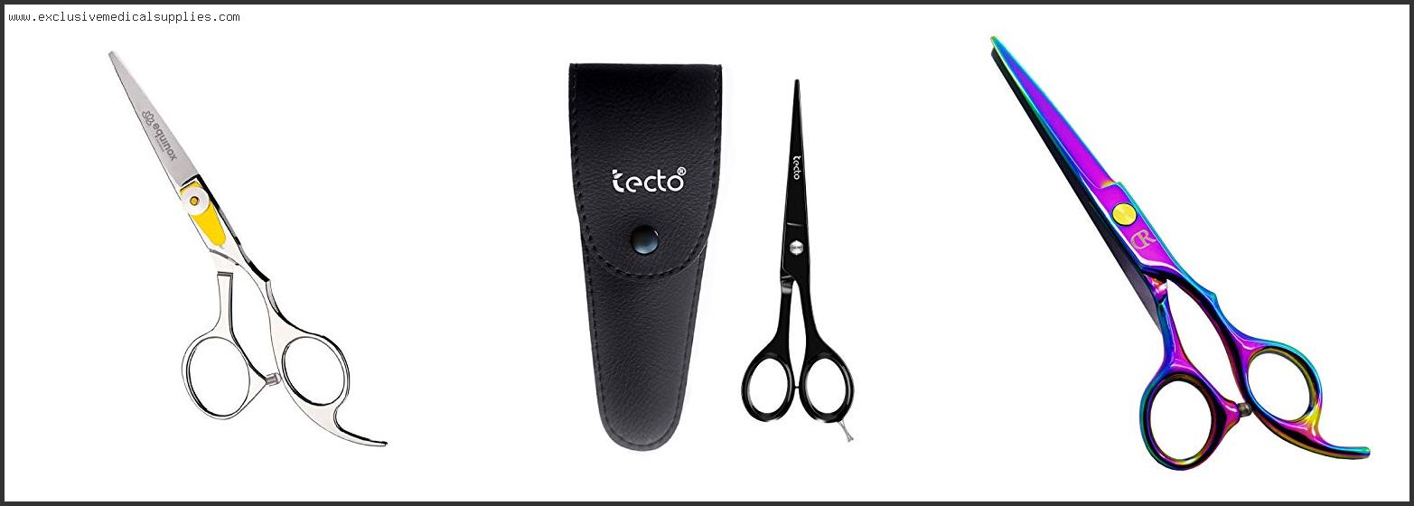 Best Professional Shears For Hair