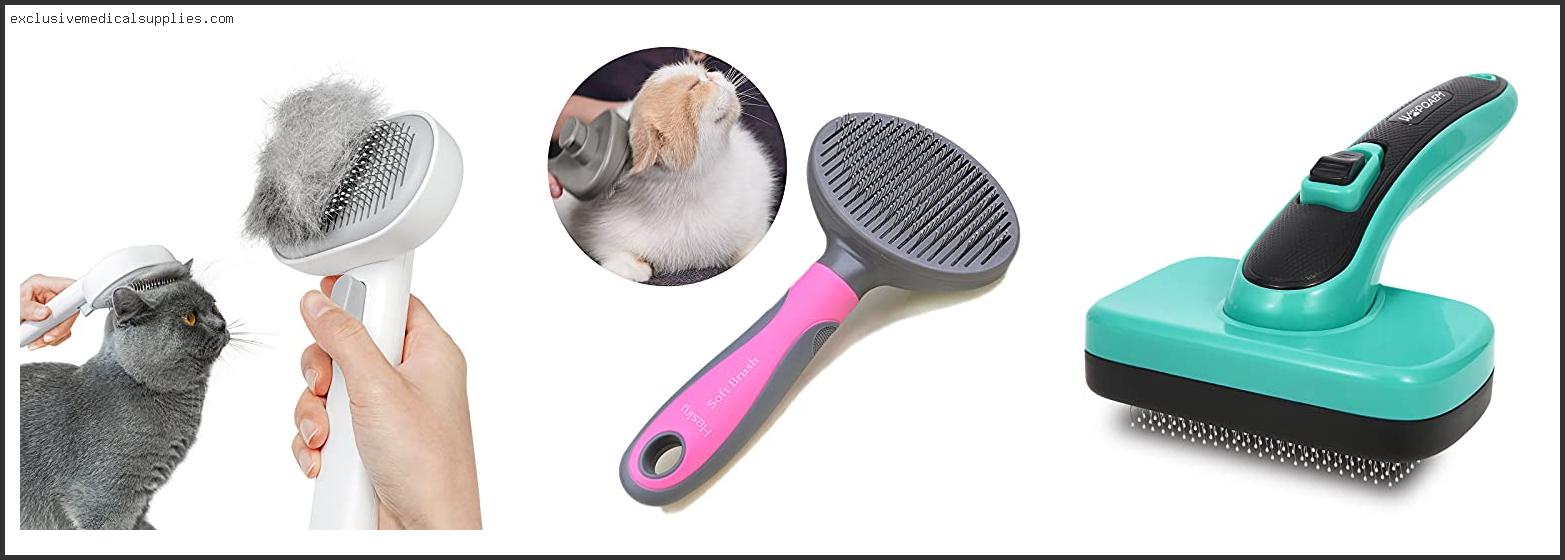 Best Brush For Shedding Short Hair Cat