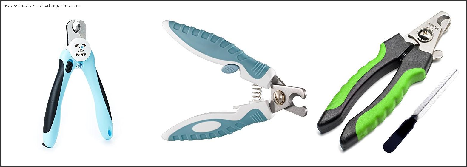 Best Dog Nail Clippers For Home Use