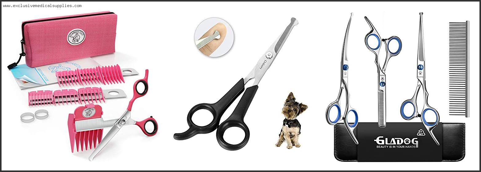 Best Scissors To Cut Dog's Hair