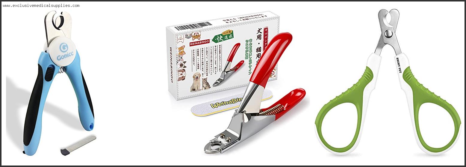 Best Nail Clippers For Chihuahuas