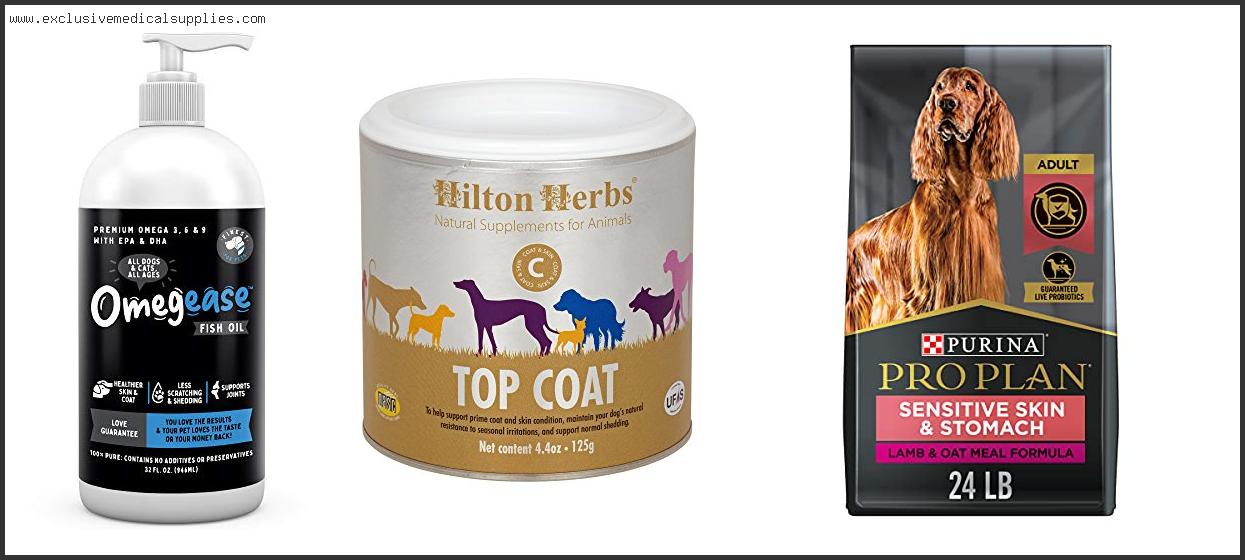 Best Dog Food For Dogs With Skin Conditions