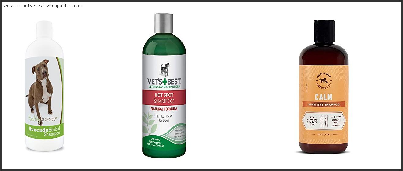Best Shampoo For Pitbulls With Dry Skin