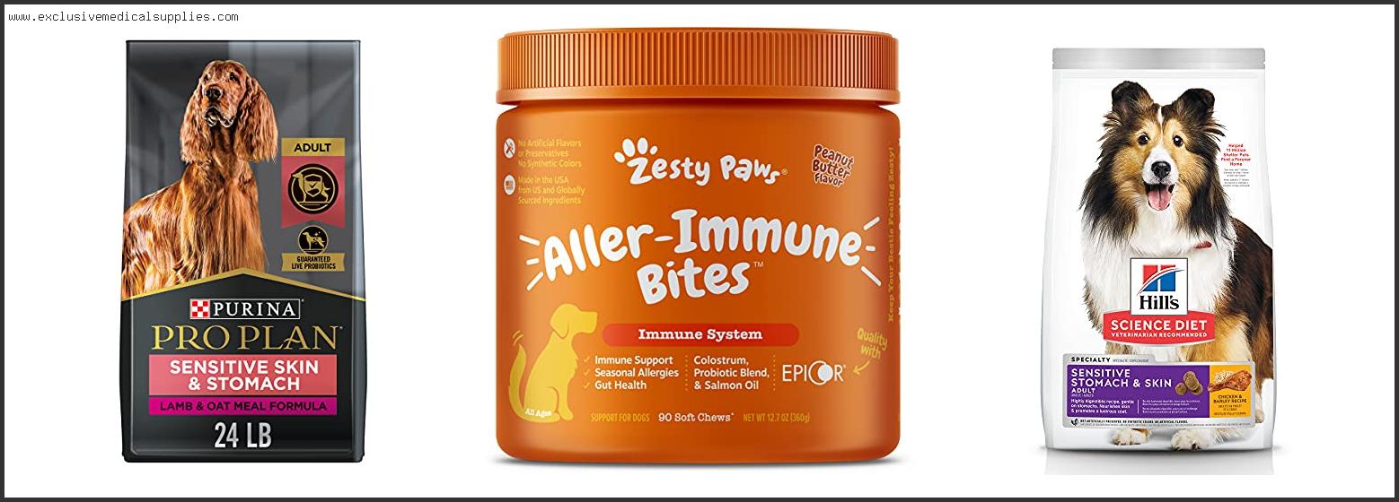 Best Food For Boxer With Skin Allergies
