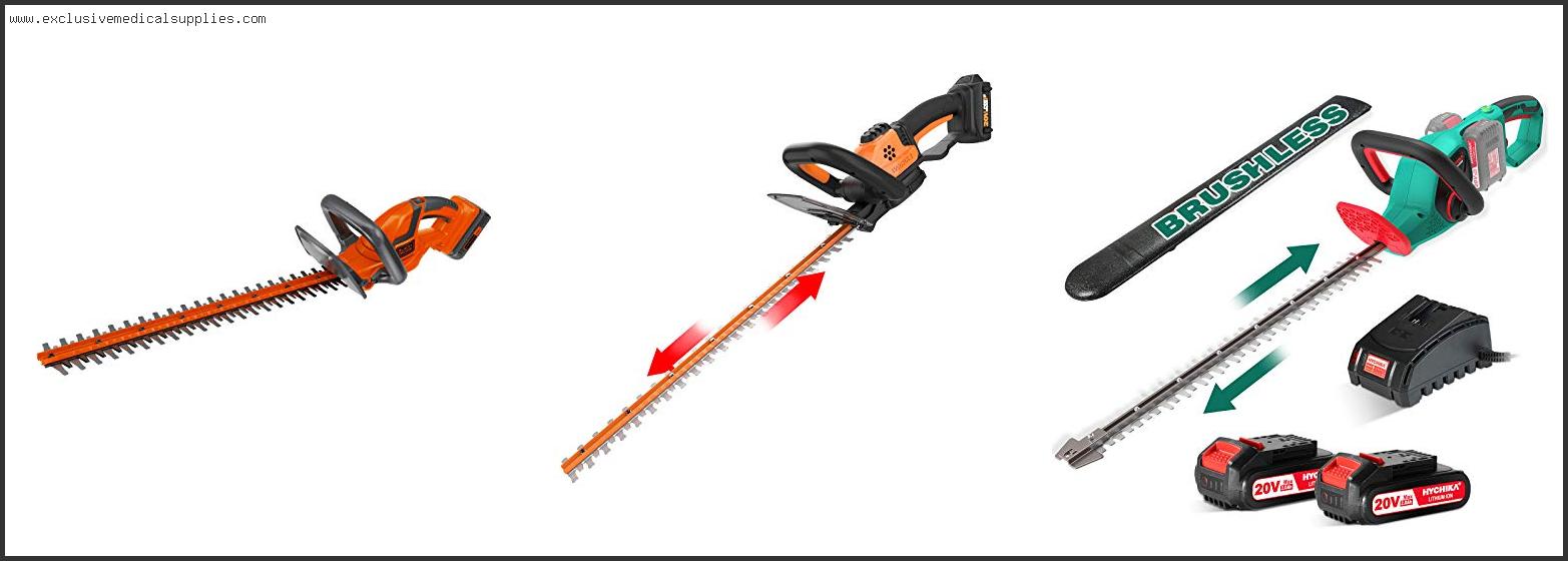 Best Lightweight Hedge Trimmer