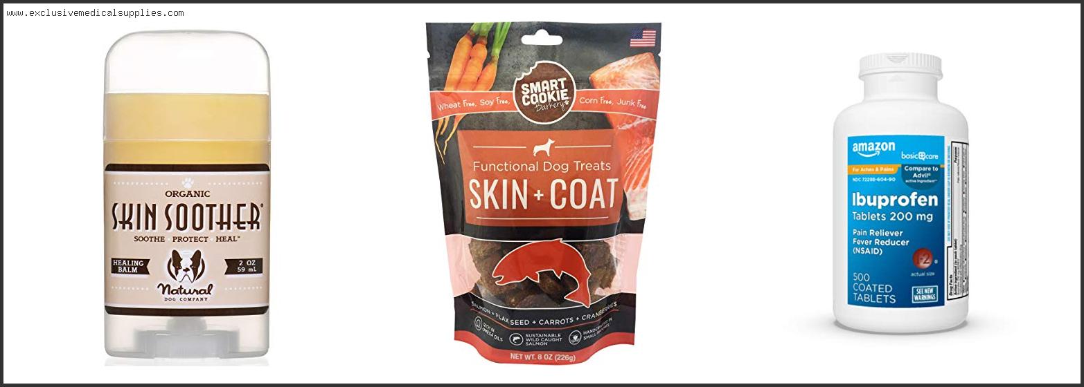 Best Dog Food For Dogs With Severe Skin Allergies