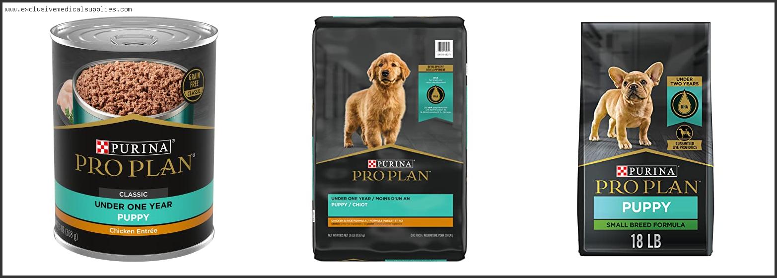 Best Puppy Food With High Protein