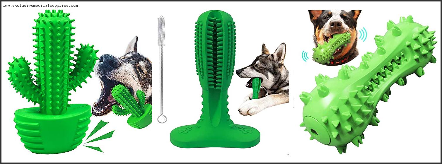Best Dog Toothbrush Stick