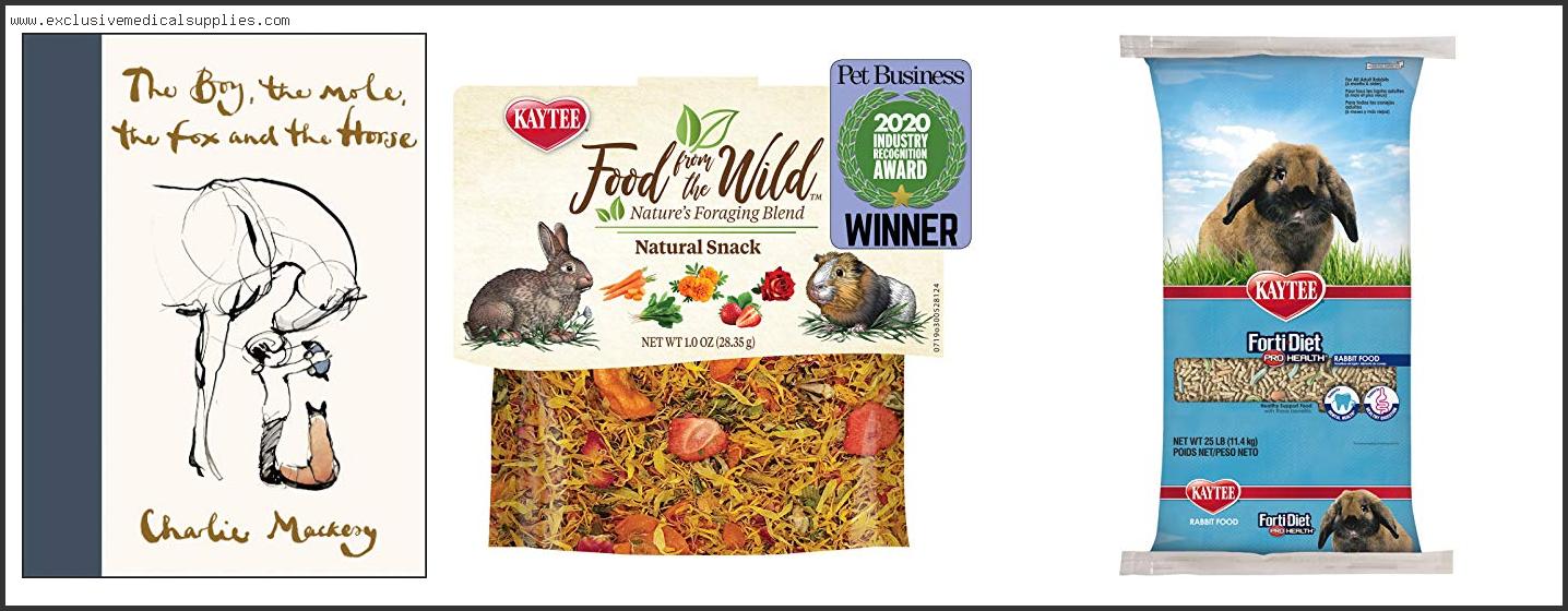 Best Food For Wild Baby Rabbits