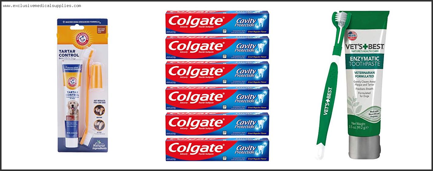 Best Toothpaste For Maltese