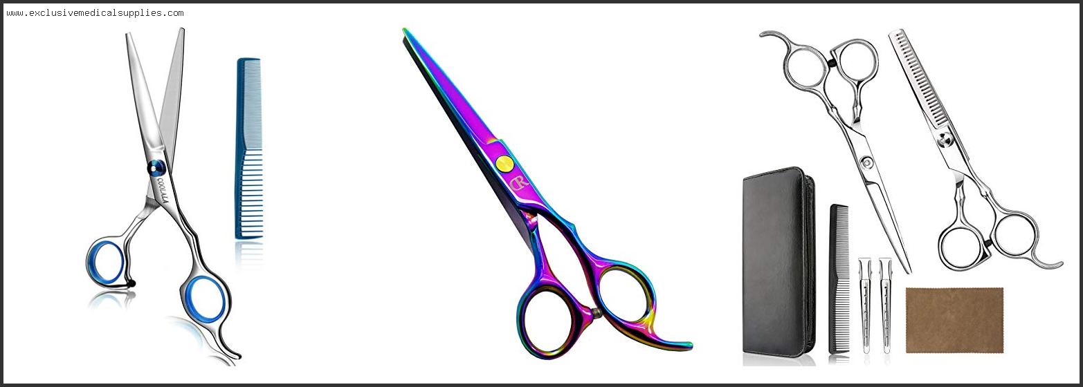 Best Shears For Cutting Dry Hair