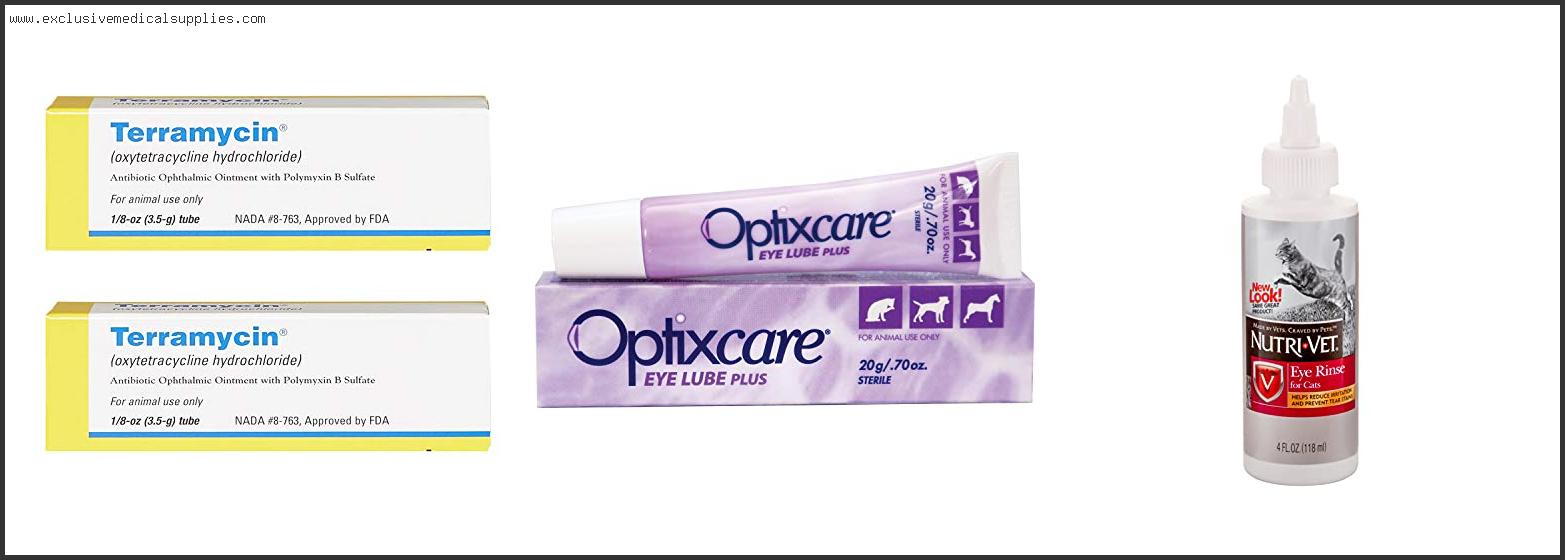 Best Eye Ointment For Cats