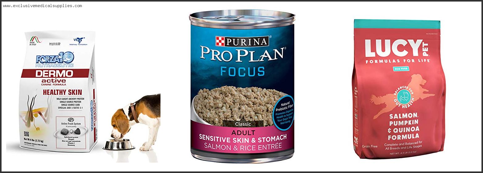 Best Pet Food For Dogs With Skin Allergies