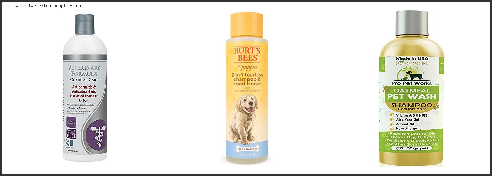 Best Dog Shampoo And Conditioner For Sensitive Skin