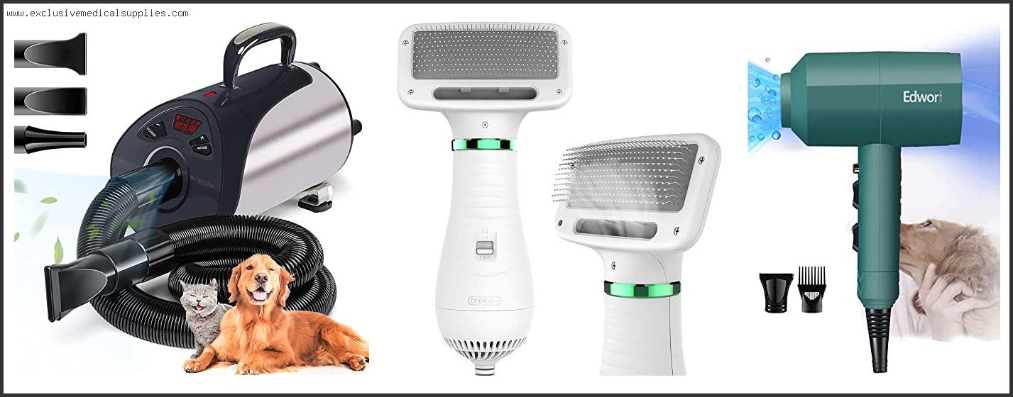 Best Hair Dryer For Cats