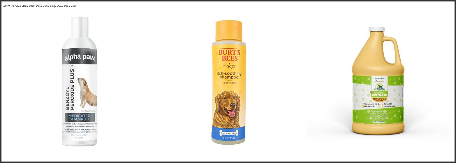 Best Pet Shampoo For Itchy Skin